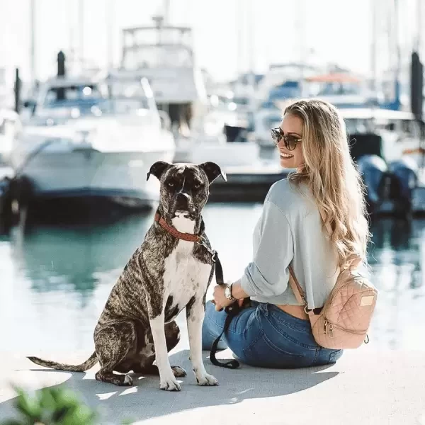 the-perry-hotel-marina